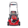 TORO21771_1