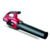 TORO_LB-51825T_1